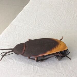 Ashland Brown and Orange Decorative Accent